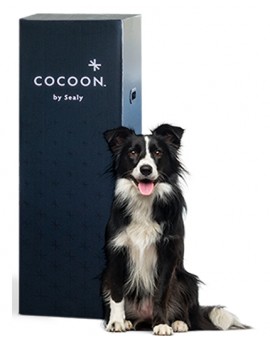 Sealy Cocoon 8 '' Mattress