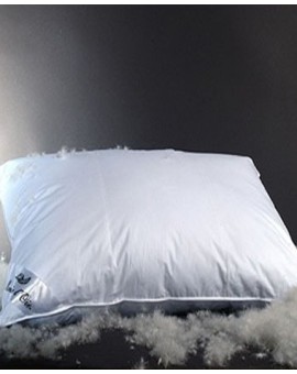 Marie L'Oie white down pillow Chinook