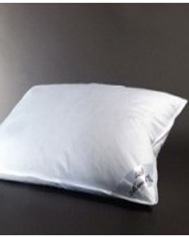 Feather Pillow - Marie L'oie